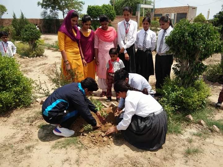 World Environment Day